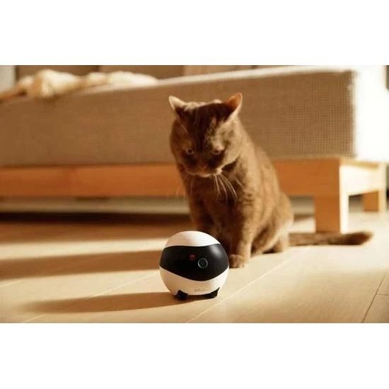 Robot Enabot EBO Air - Imagen 6