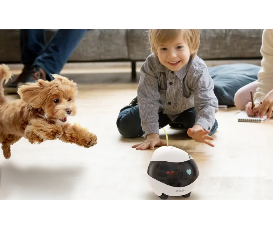 Robot Enabot EBO Air - Imagen 3